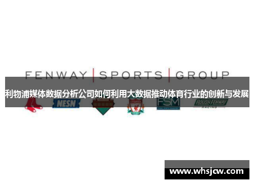 利物浦媒体数据分析公司如何利用大数据推动体育行业的创新与发展