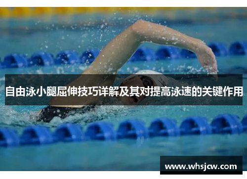 自由泳小腿屈伸技巧详解及其对提高泳速的关键作用