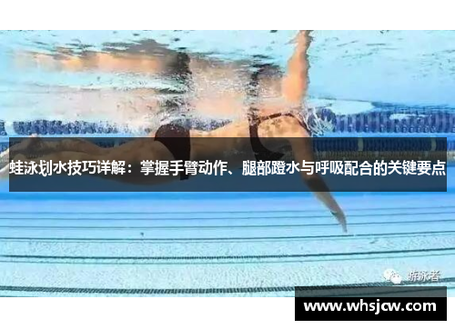 蛙泳划水技巧详解：掌握手臂动作、腿部蹬水与呼吸配合的关键要点