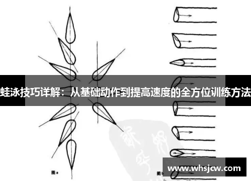 蛙泳技巧详解：从基础动作到提高速度的全方位训练方法