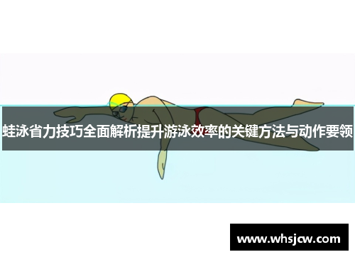 蛙泳省力技巧全面解析提升游泳效率的关键方法与动作要领